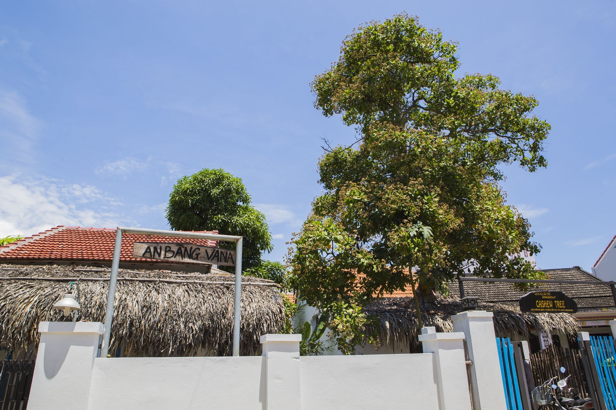 Cashew Tree Bungalow Hội An Buitenkant foto