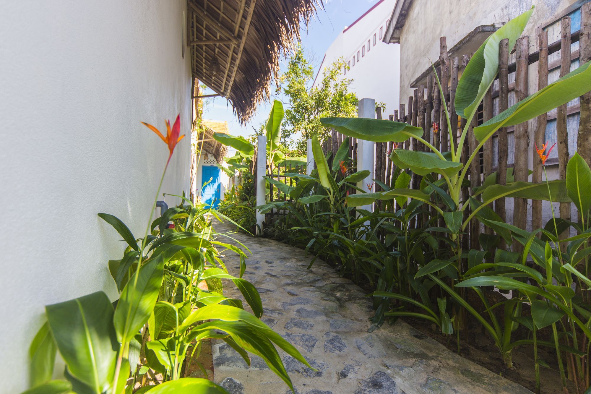 Cashew Tree Bungalow Hội An Buitenkant foto