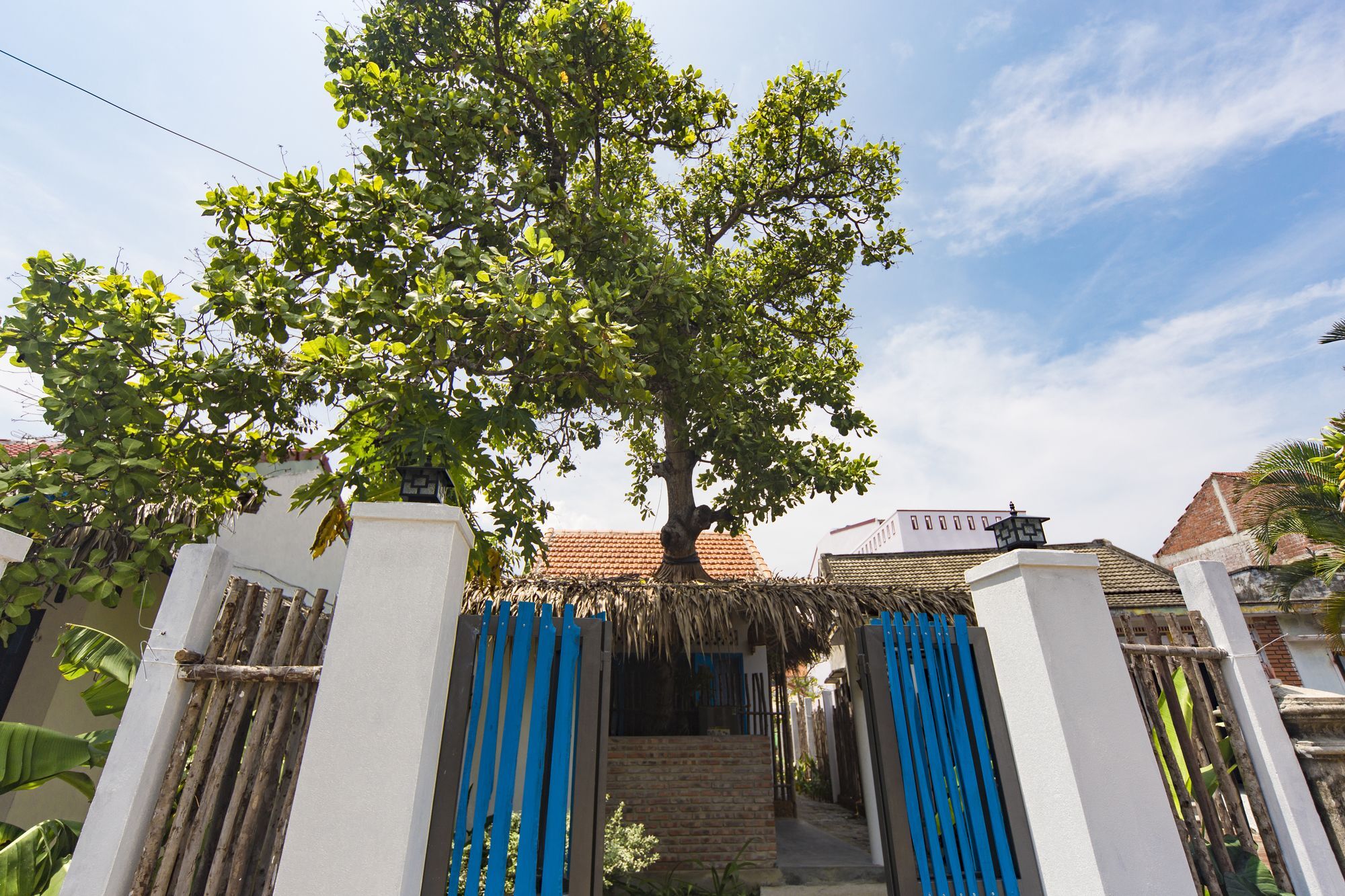 Cashew Tree Bungalow Hội An Buitenkant foto